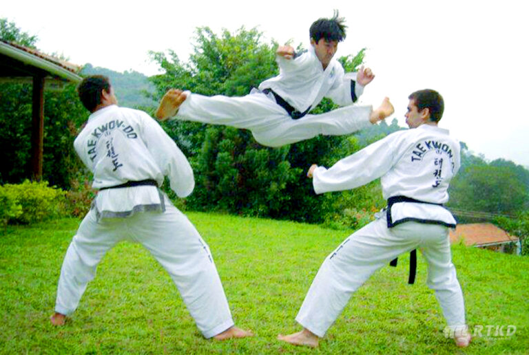 Taekwon-do Tradicional ITF - Mestre Edimir Kawakubo 7º DAN